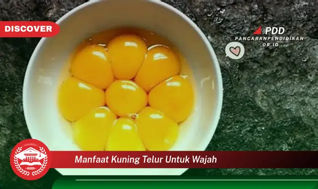 manfaat kuning telur untuk wajah