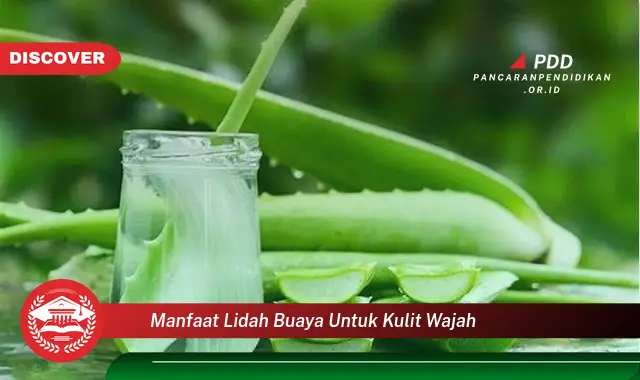 manfaat lidah buaya untuk kulit wajah