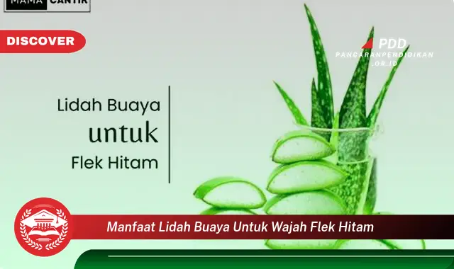 manfaat lidah buaya untuk wajah flek hitam