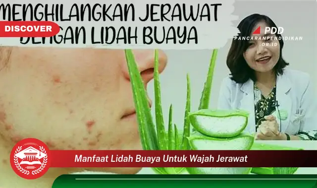 manfaat lidah buaya untuk wajah jerawat