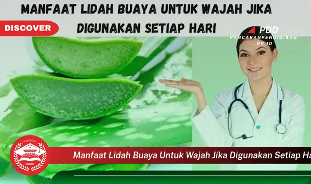 manfaat lidah buaya untuk wajah jika digunakan setiap hari