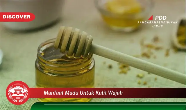 manfaat madu untuk kulit wajah