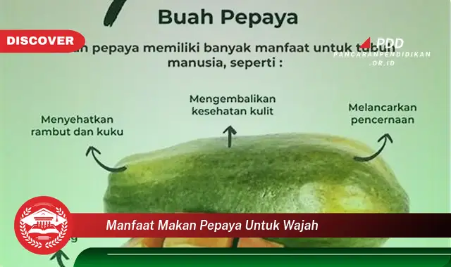 manfaat makan pepaya untuk wajah