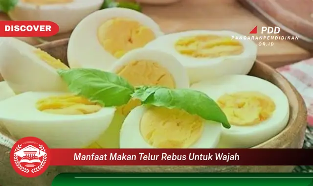 manfaat makan telur rebus untuk wajah