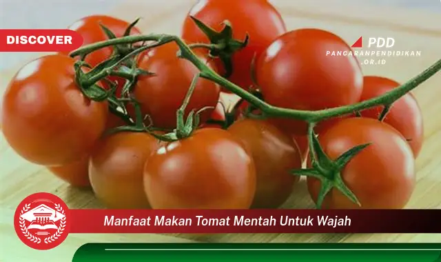 manfaat makan tomat mentah untuk wajah