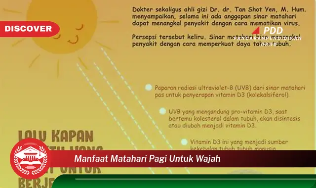 manfaat matahari pagi untuk wajah