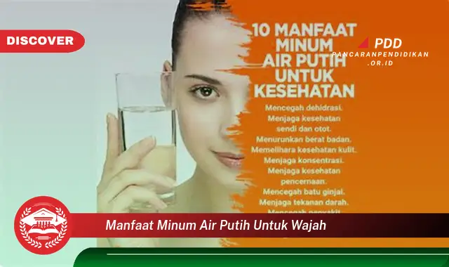 manfaat minum air putih untuk wajah