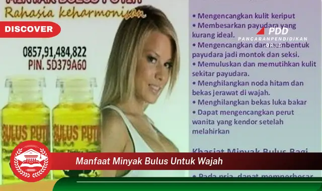 manfaat minyak bulus untuk wajah