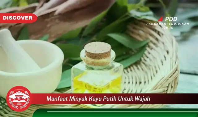 manfaat minyak kayu putih untuk wajah