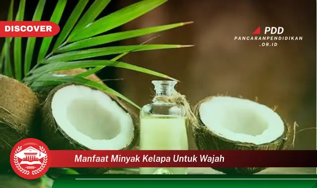 manfaat minyak kelapa untuk wajah