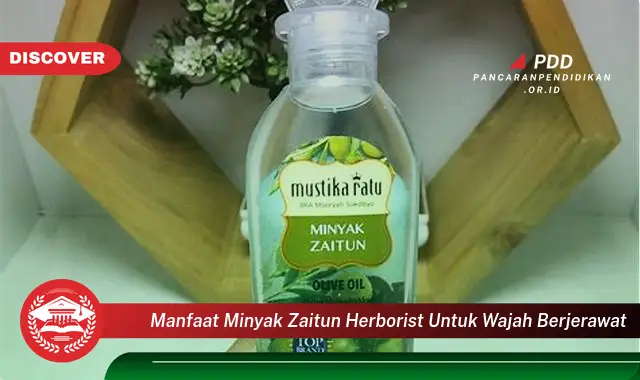 manfaat minyak zaitun herborist untuk wajah berjerawat