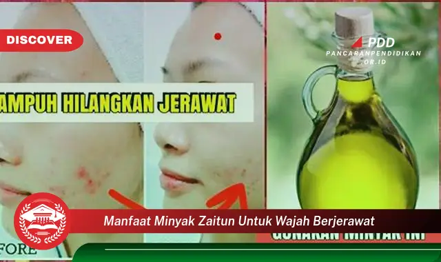 manfaat minyak zaitun untuk wajah berjerawat