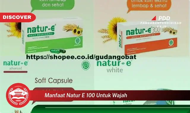 manfaat natur e 100 untuk wajah