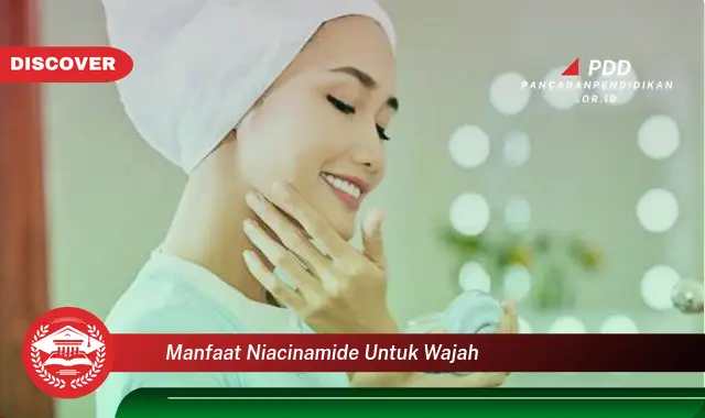 manfaat niacinamide untuk wajah