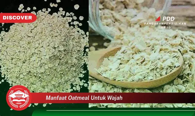 manfaat oatmeal untuk wajah