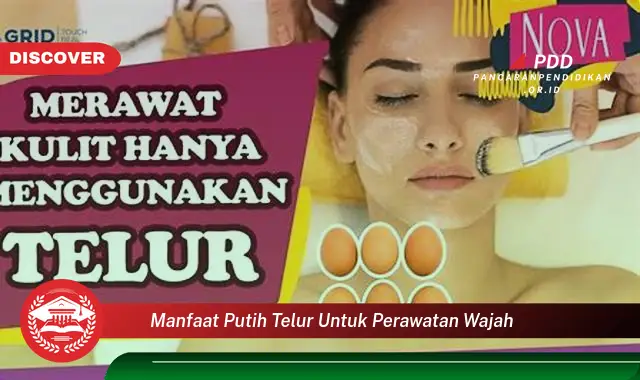 manfaat putih telur untuk perawatan wajah