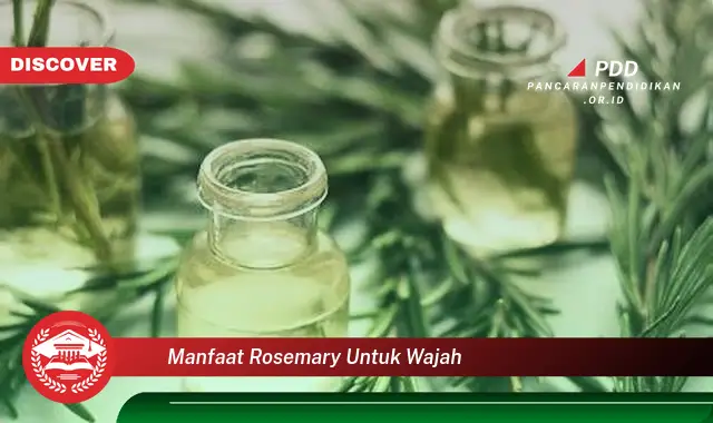 manfaat rosemary untuk wajah