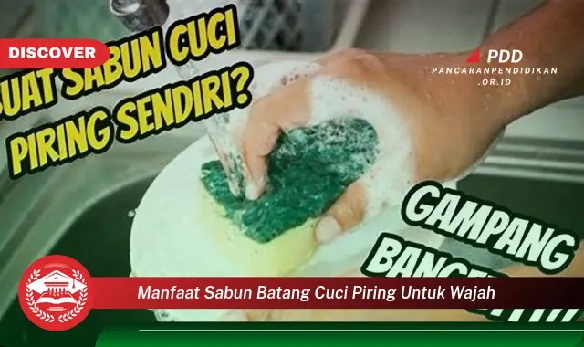 manfaat sabun batang cuci piring untuk wajah