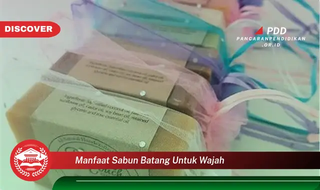 manfaat sabun batang untuk wajah