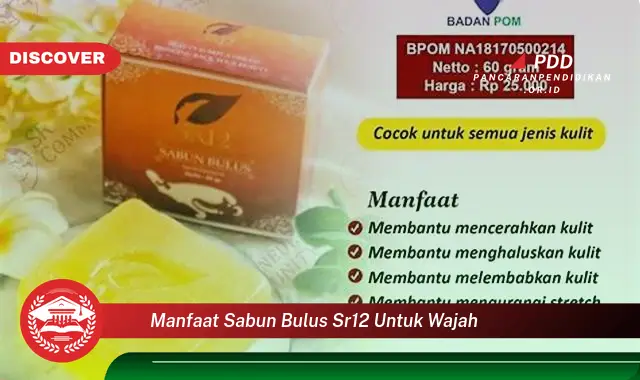 manfaat sabun bulus sr12 untuk wajah