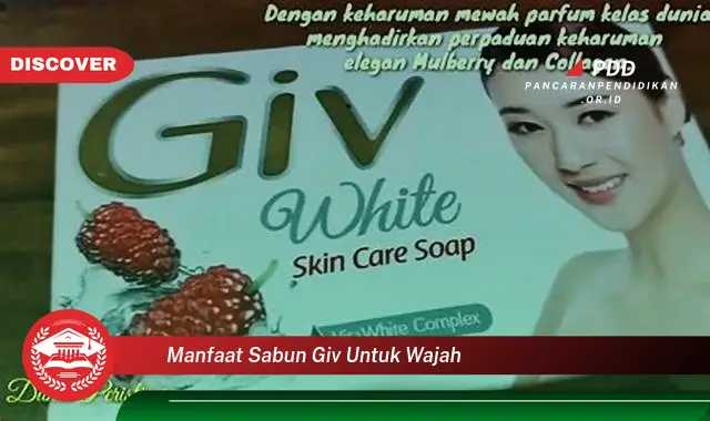 manfaat sabun giv untuk wajah