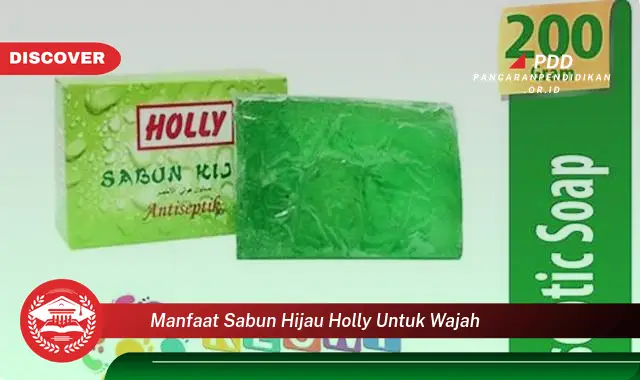 Temukan 10 Manfaat Sabun Hijau Holly untuk Wajah yang Wajib Kamu Intip