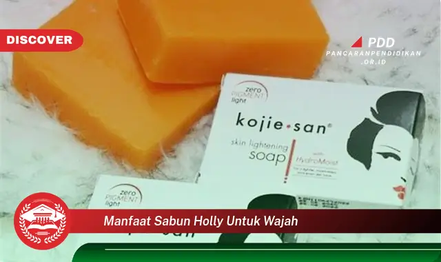 manfaat sabun holly untuk wajah