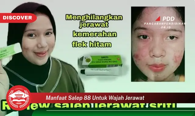 manfaat salep 88 untuk wajah jerawat