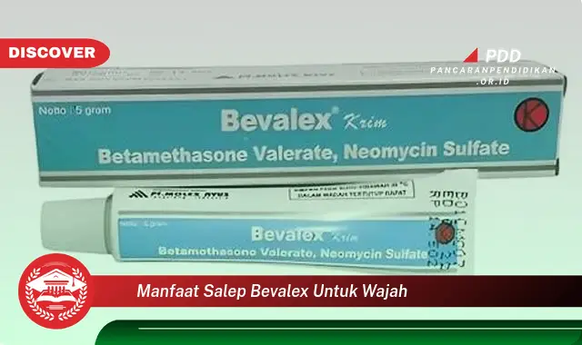 Banyak yang Belum Tahu, Inilah 30 Manfaat Salep Bevalex untuk Wajah yang Wajib Diketahui