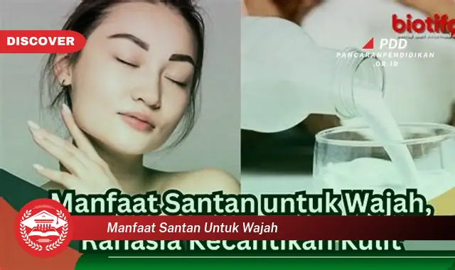 manfaat santan untuk wajah