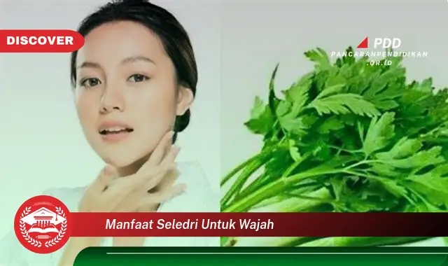 manfaat seledri untuk wajah