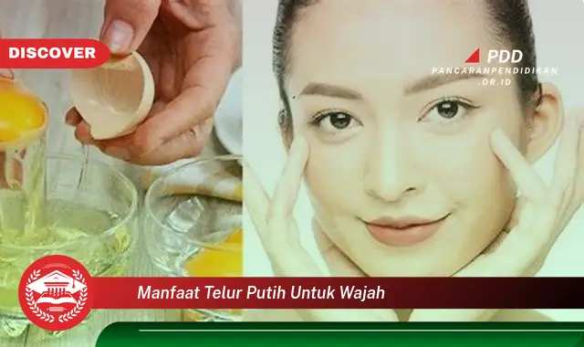 manfaat telur putih untuk wajah