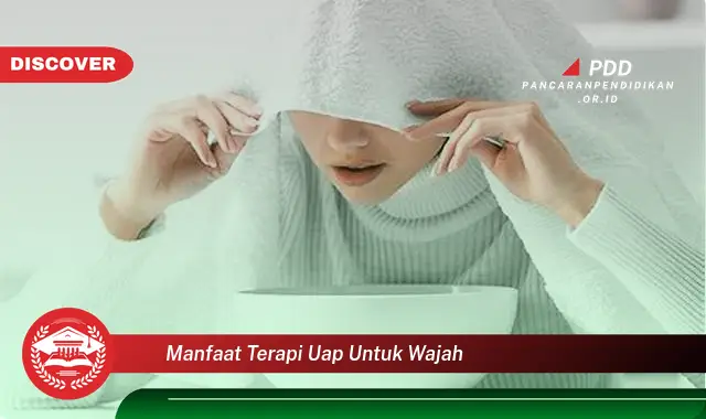 manfaat terapi uap untuk wajah