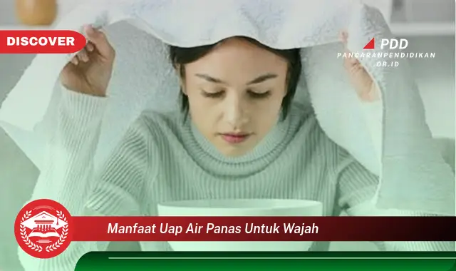 manfaat uap air panas untuk wajah