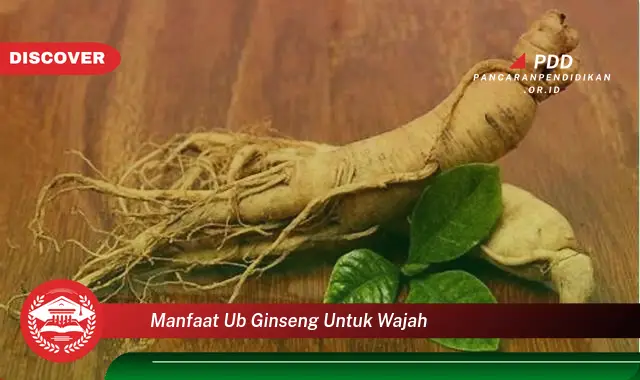 manfaat ub ginseng untuk wajah