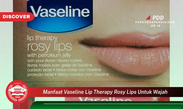 Banyak yang Belum Tau, Ketahui 30 Manfaat Vaseline Lip Therapy Rosy Lips untuk Wajah yang Bikin Penasaran