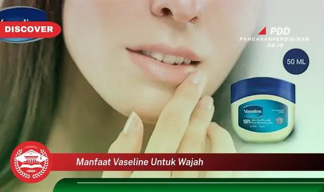 manfaat vaseline untuk wajah