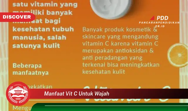 manfaat vit c untuk wajah