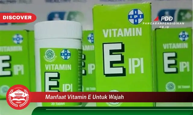 manfaat vitamin e untuk wajah