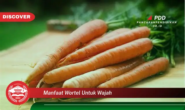 manfaat wortel untuk wajah