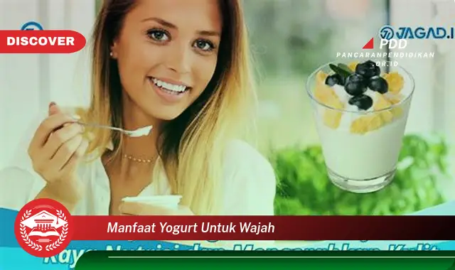 manfaat yogurt untuk wajah