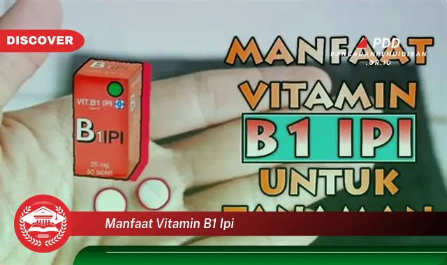 manfaat vitamin b1 ipi