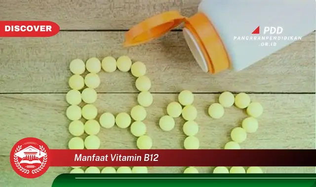 manfaat vitamin b12