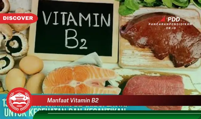 manfaat vitamin b2