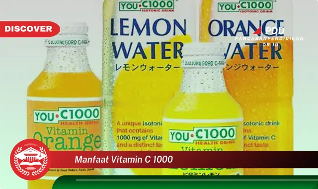 manfaat vitamin c 1000