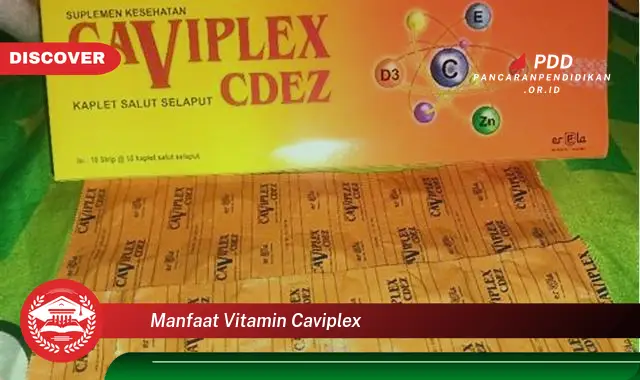 manfaat vitamin caviplex